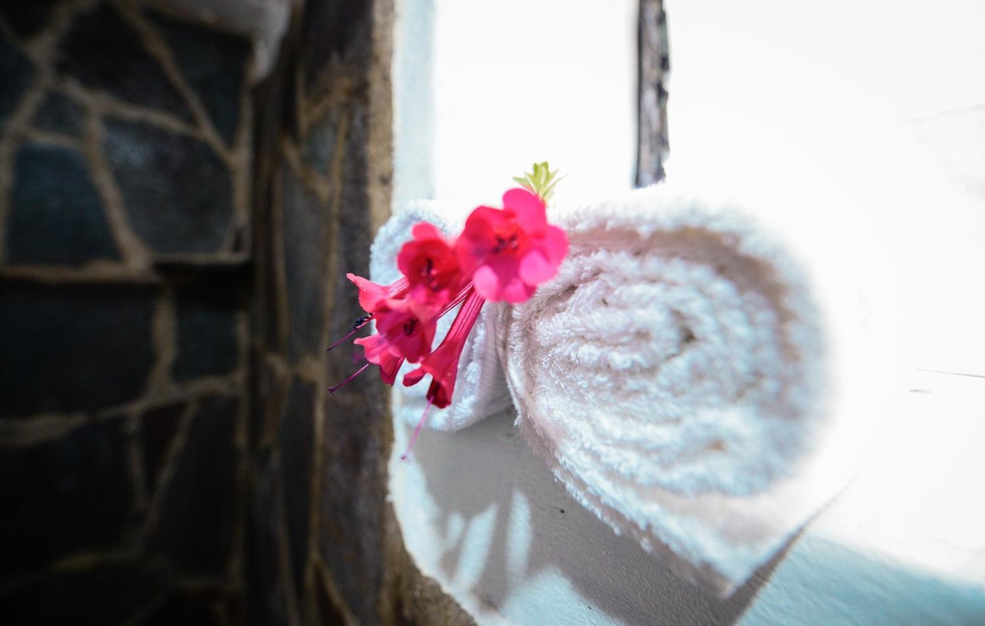 Rumi Lodge Pisac Eksteriør billede